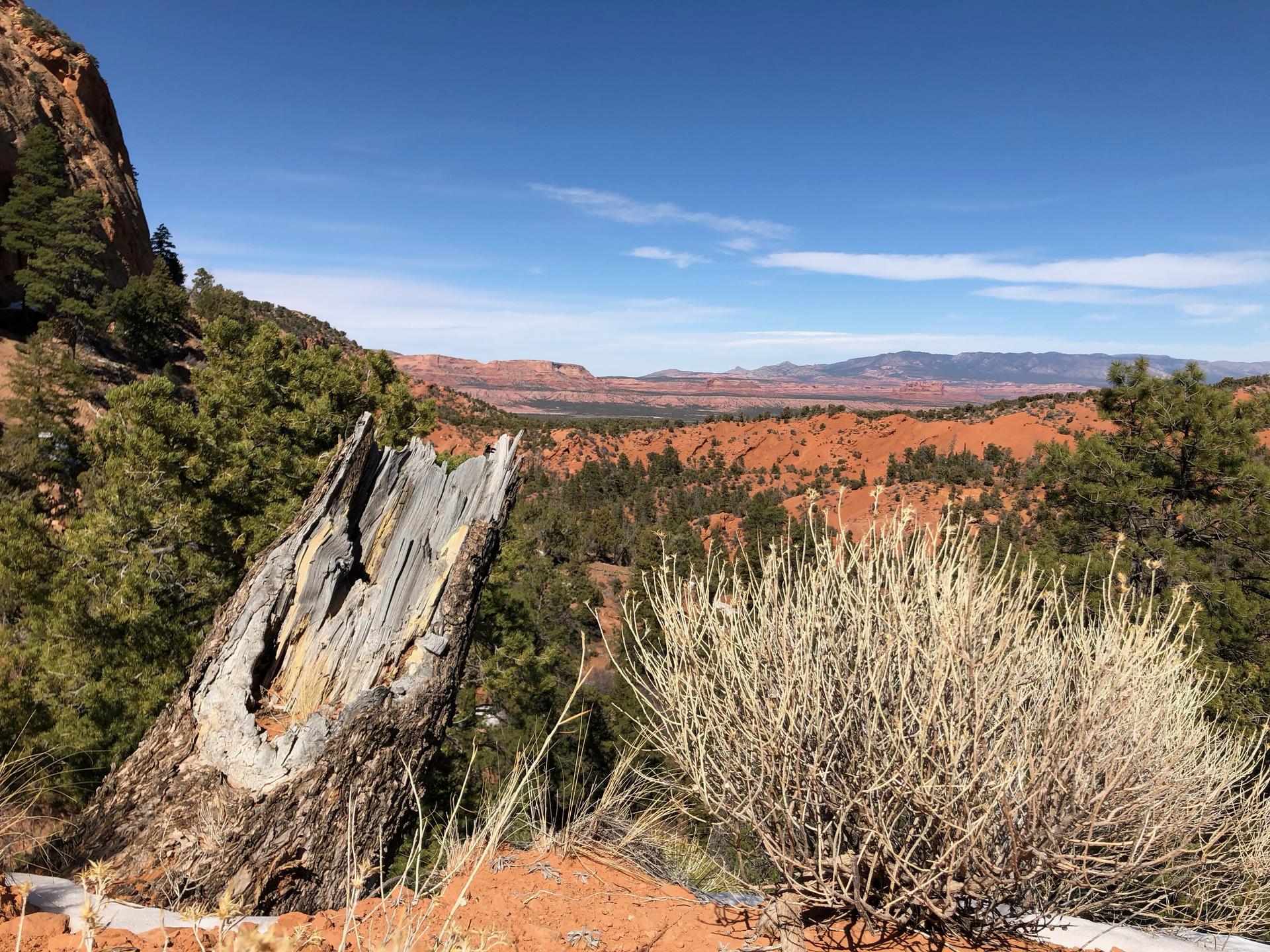 landscape near Cove, AZ