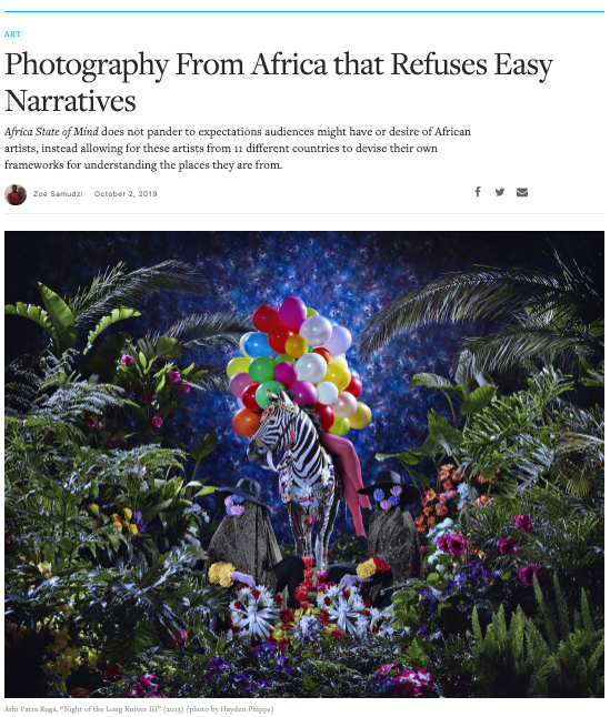 a zebra with a bunch of balloons in a lush clearing